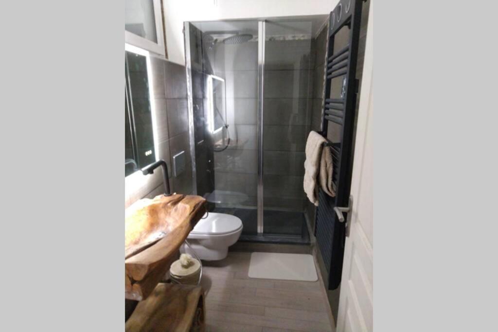Chaleureux Petit Appartement De 4 Couchages Saint-Étienne-de-Tinée Екстериор снимка